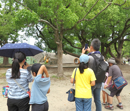 公園内のARスポットでスマホをかざす親子連れ（親子サマースクール2019にて）。